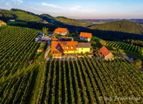  Weingut Reiterer  Китцек-Им-Заузаль 